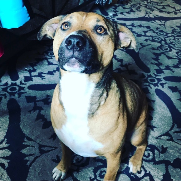 Meet Your Quirky Posher, Jennifer - Picture 7 of 8